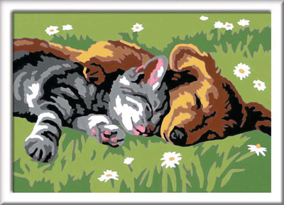 Ravensburger creart sleeping cats and dogs - schilderen op nummer voor kinderen