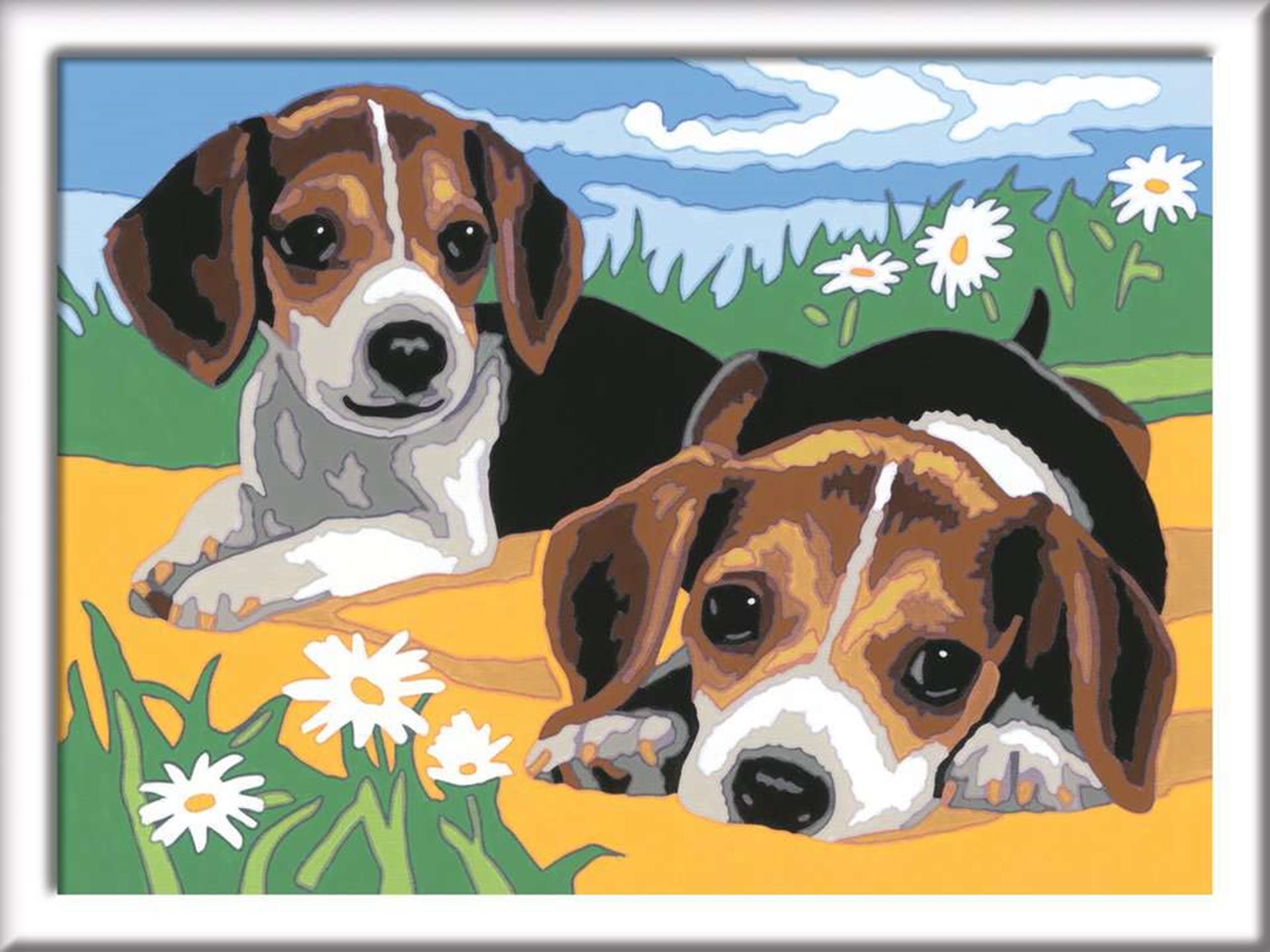Ravensburger creart beagle puppies