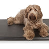 Bia bed matras ligbed zwart