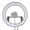 Falcon eyes bi-color led ringlamp dimbaar dvr-512dvc op 230v