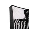 Falcon eyes softbox + honingraat rx-sb48hc voor led rx-48tdx