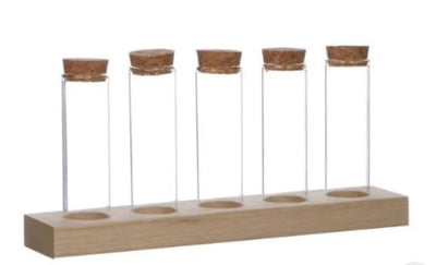 Ideas 4 seasons houten houder met 5 reageerbuizen met kurk stopper ø3x10cm