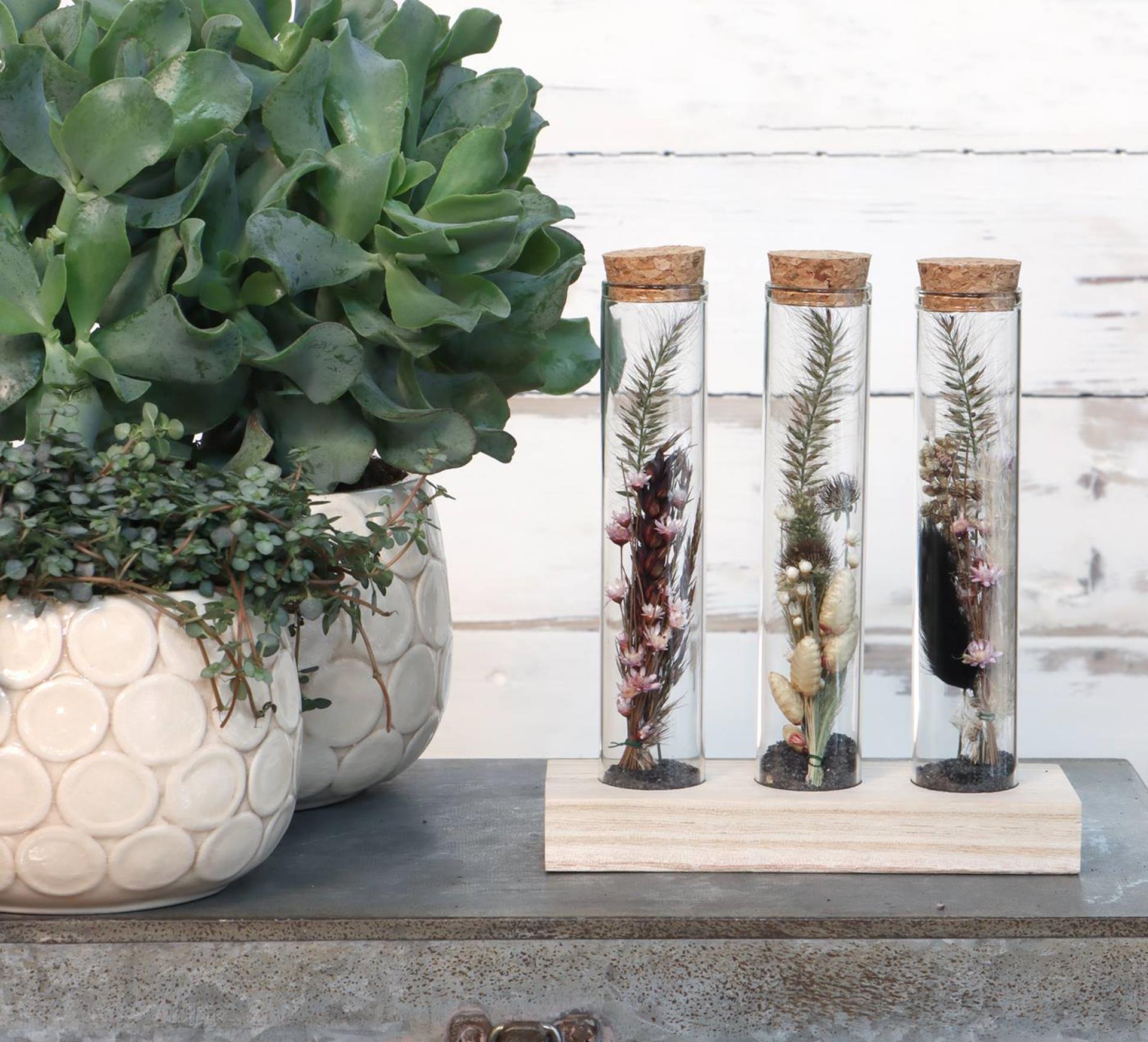 Ideas 4 seasons houten houder met 3 reageerbuizen met kurk stopper ã˜3x15cm