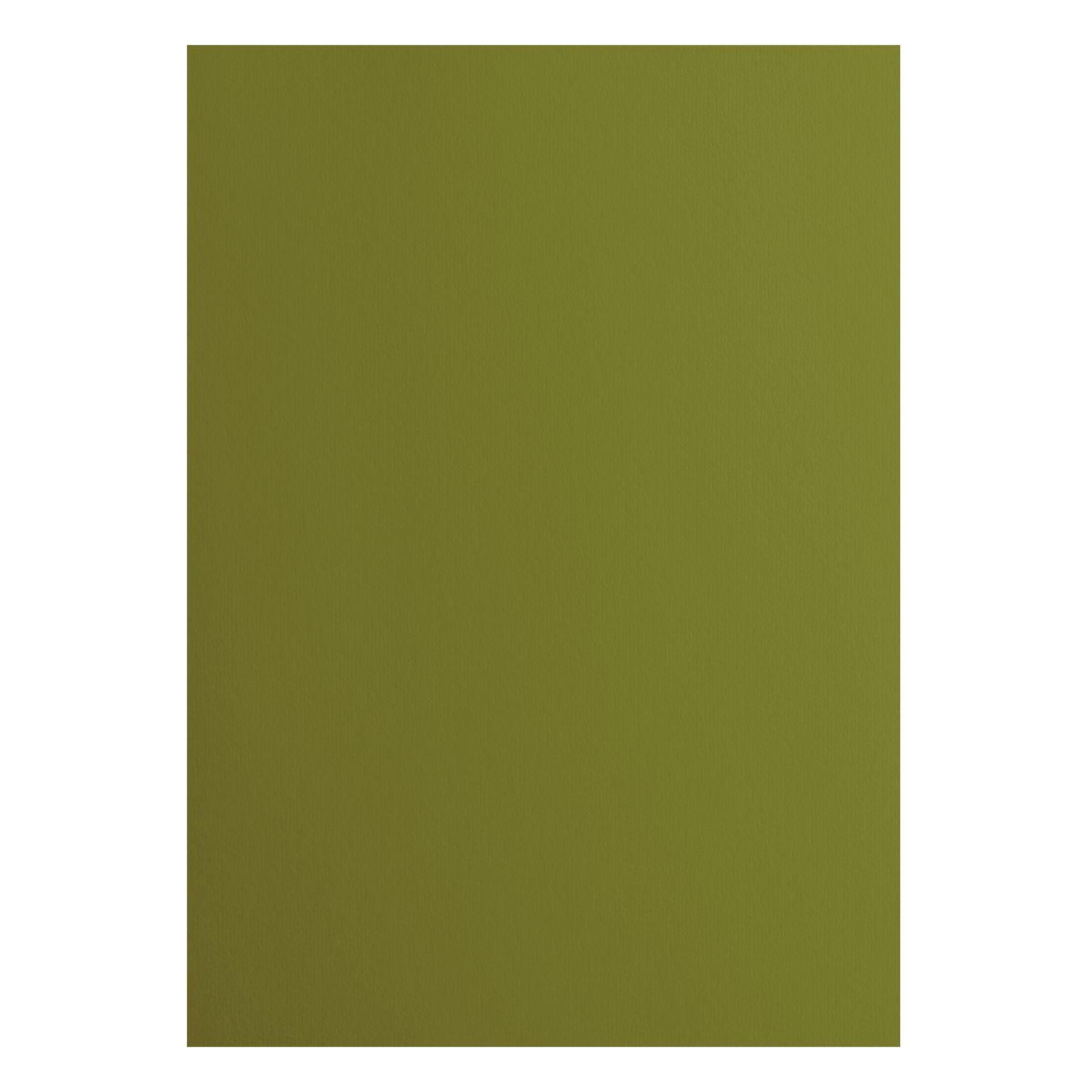 Florence • cardstock papier 216g glad a4 olive 10x