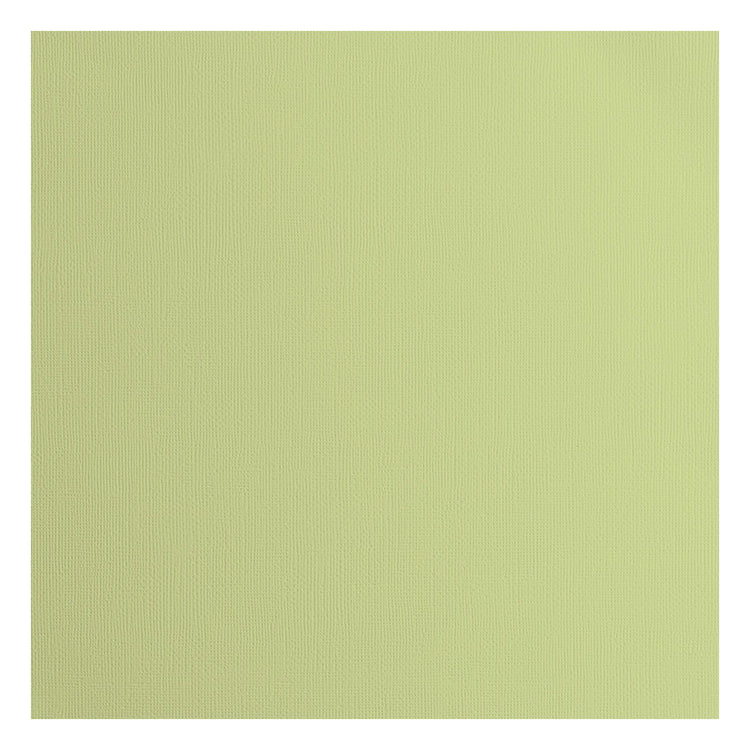 Florence • cardstock papier 216g textuur 30,5x30,5cm anise 20x