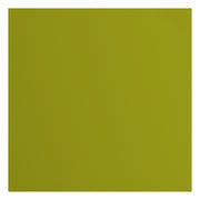 Florence • cardstock papier 216g textuur 30,5x30,5cm fern 20x - afbeelding 1