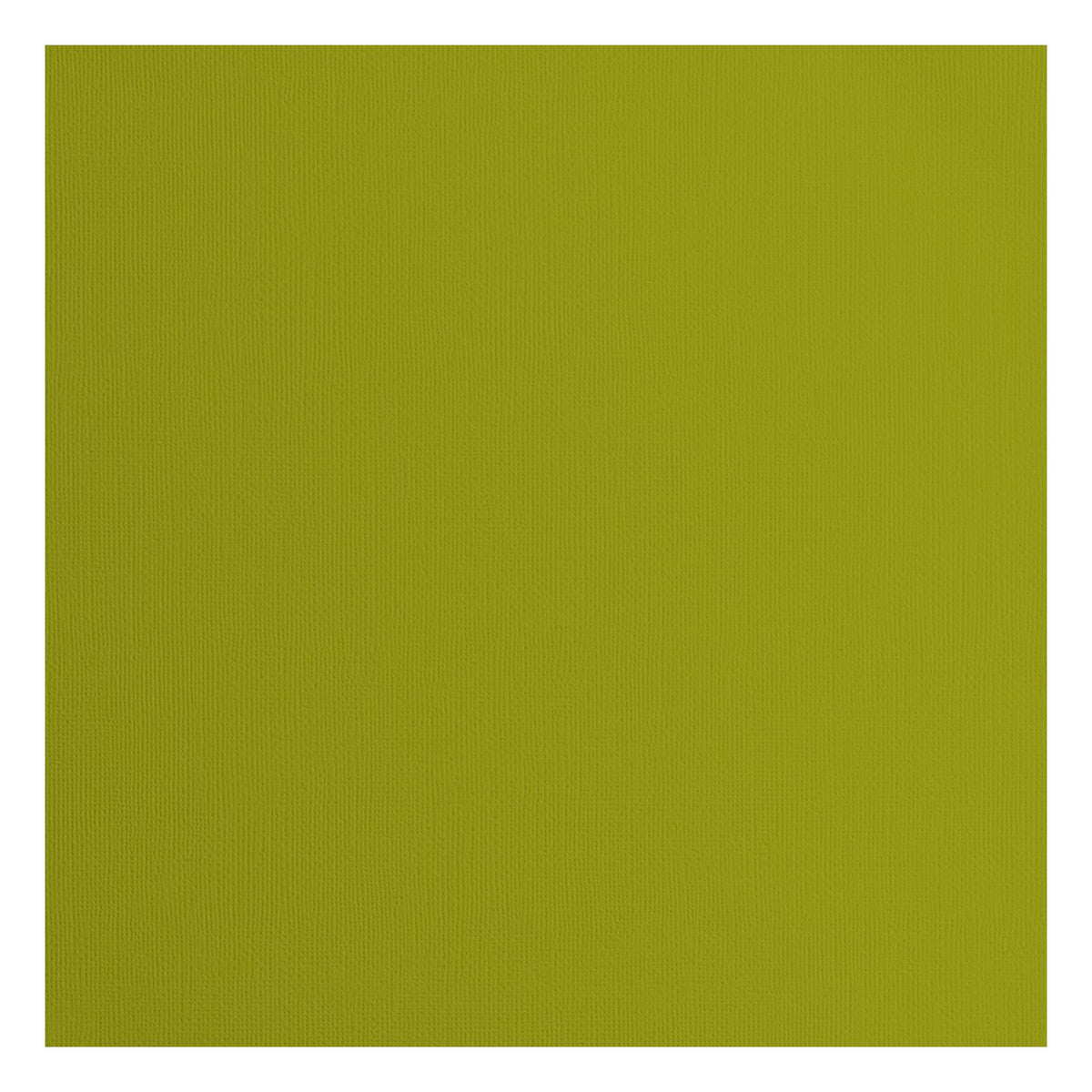 Florence • cardstock papier 216g textuur 30,5x30,5cm fern 20x