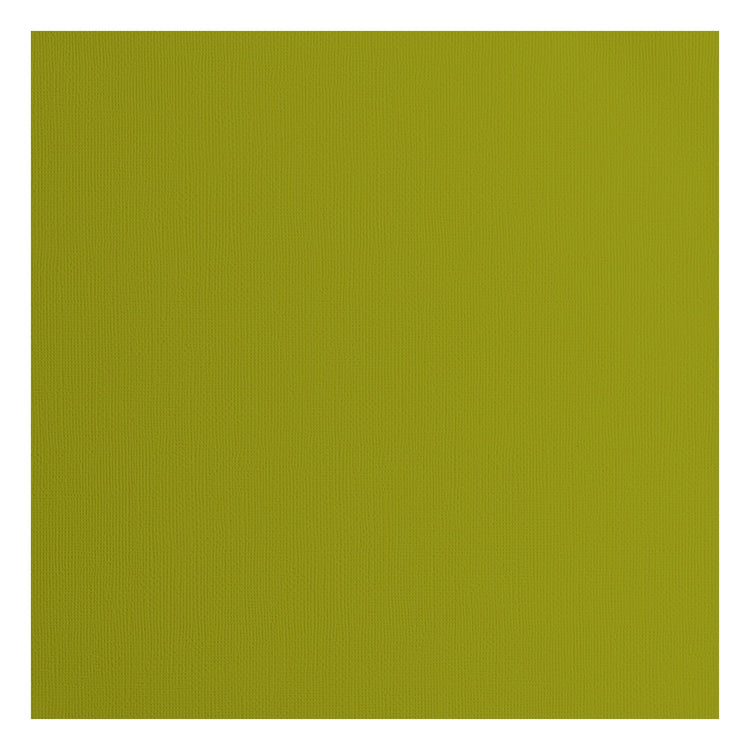 Florence • cardstock papier 216g textuur 30,5x30,5cm fern 20x