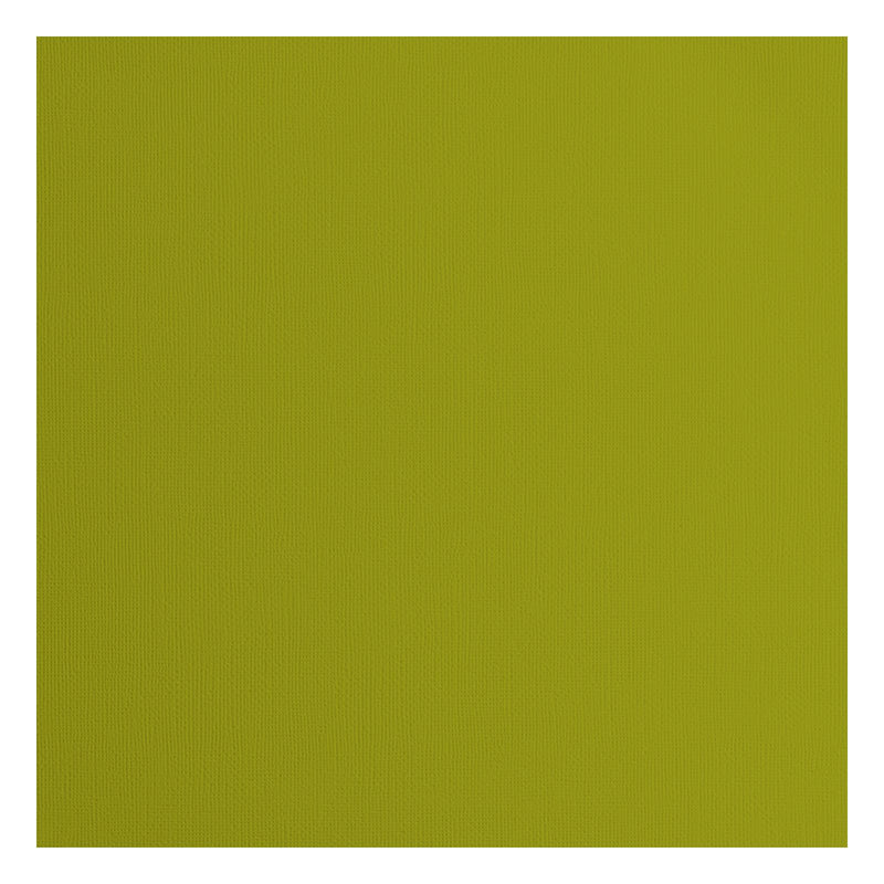 Florence • cardstock papier 216g textuur 30,5x30,5cm fern 20x