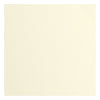 Florence • cardstock papier 216g textuur 30,5x30,5cm raffia 100x