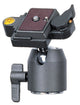 Falcon eyes balhoofd ph-3 tot 4 kg