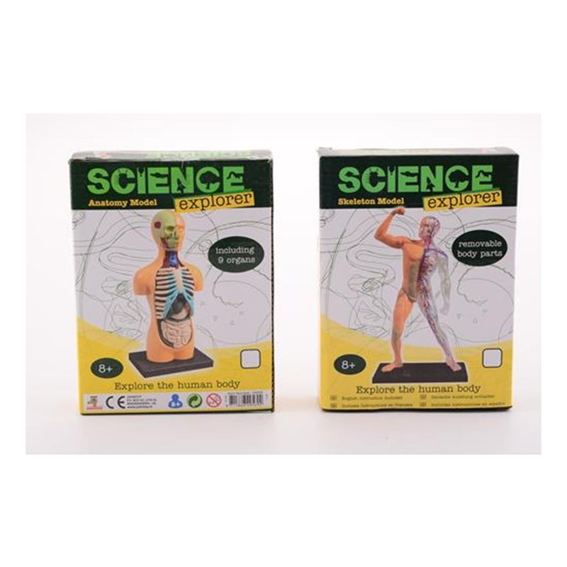 Johntoy science explorer ontdek het lichaam