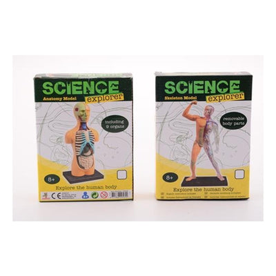 Johntoy science explorer ontdek het lichaam