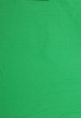 Falcon eyes achtergronddoek bcp-10 2,9x5 m chroma groen uitwasbaar - afbeelding 1
