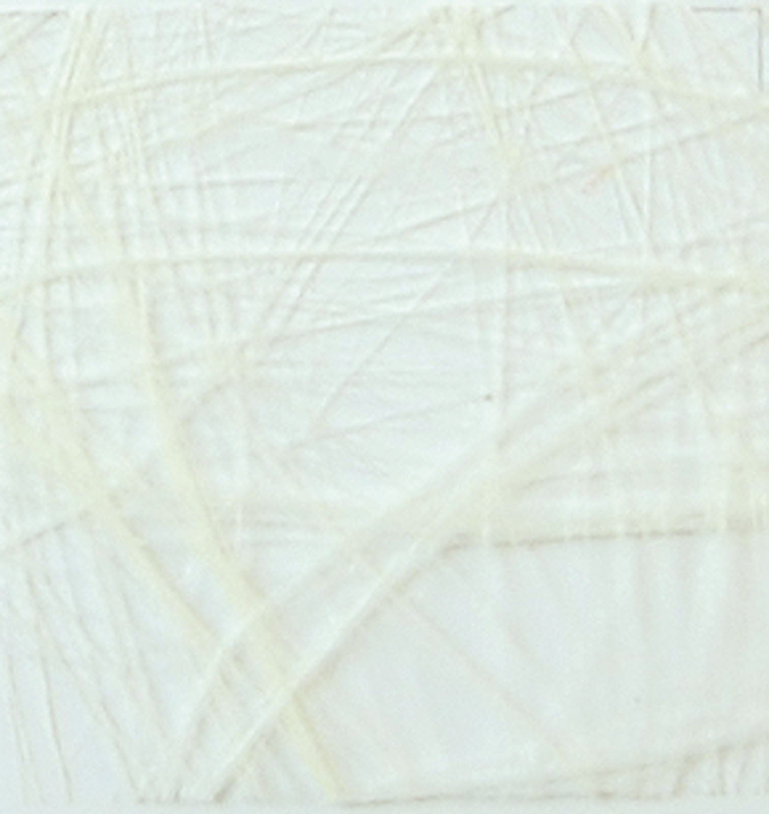 Vaessen creative • sizoweb 5mx30cm in koker crème