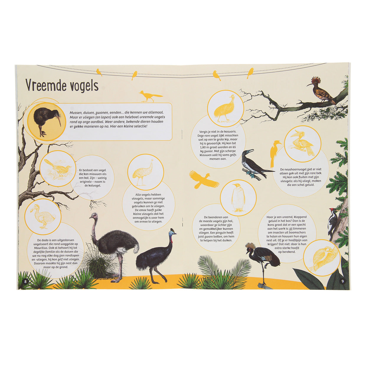 Standaard uitgeverij 50 weetjes 50 stickers - vogels