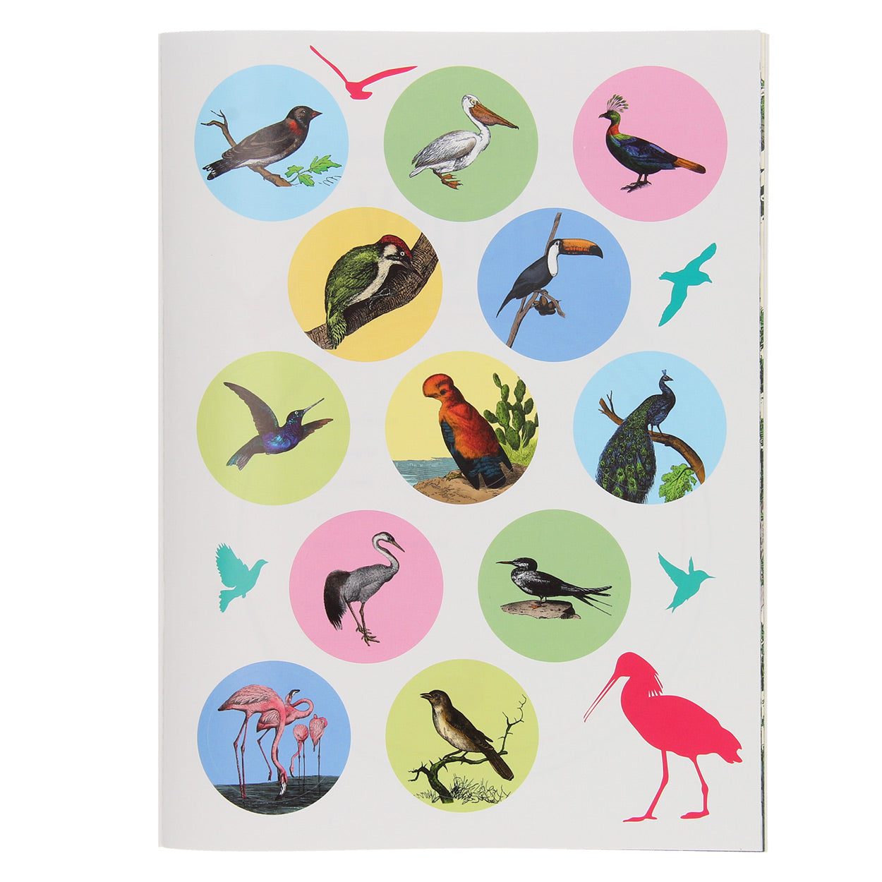 Standaard uitgeverij 50 weetjes 50 stickers - vogels