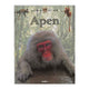 Lantaarn publishers dieren in het wild - apen