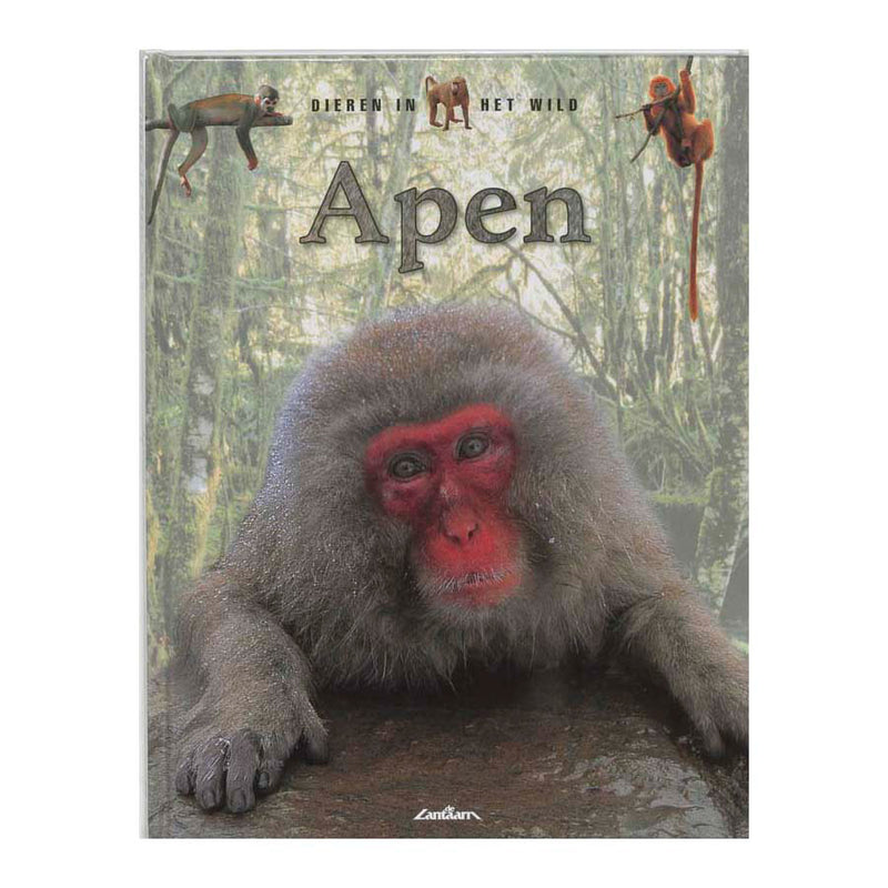 Lantaarn publishers dieren in het wild - apen