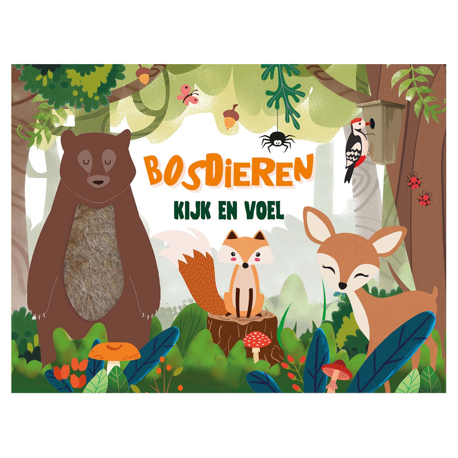 Kijk en voel - bosdieren