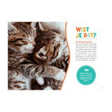 Lantaarn publishers handboek voor kattenbaasjes - afbeelding 2