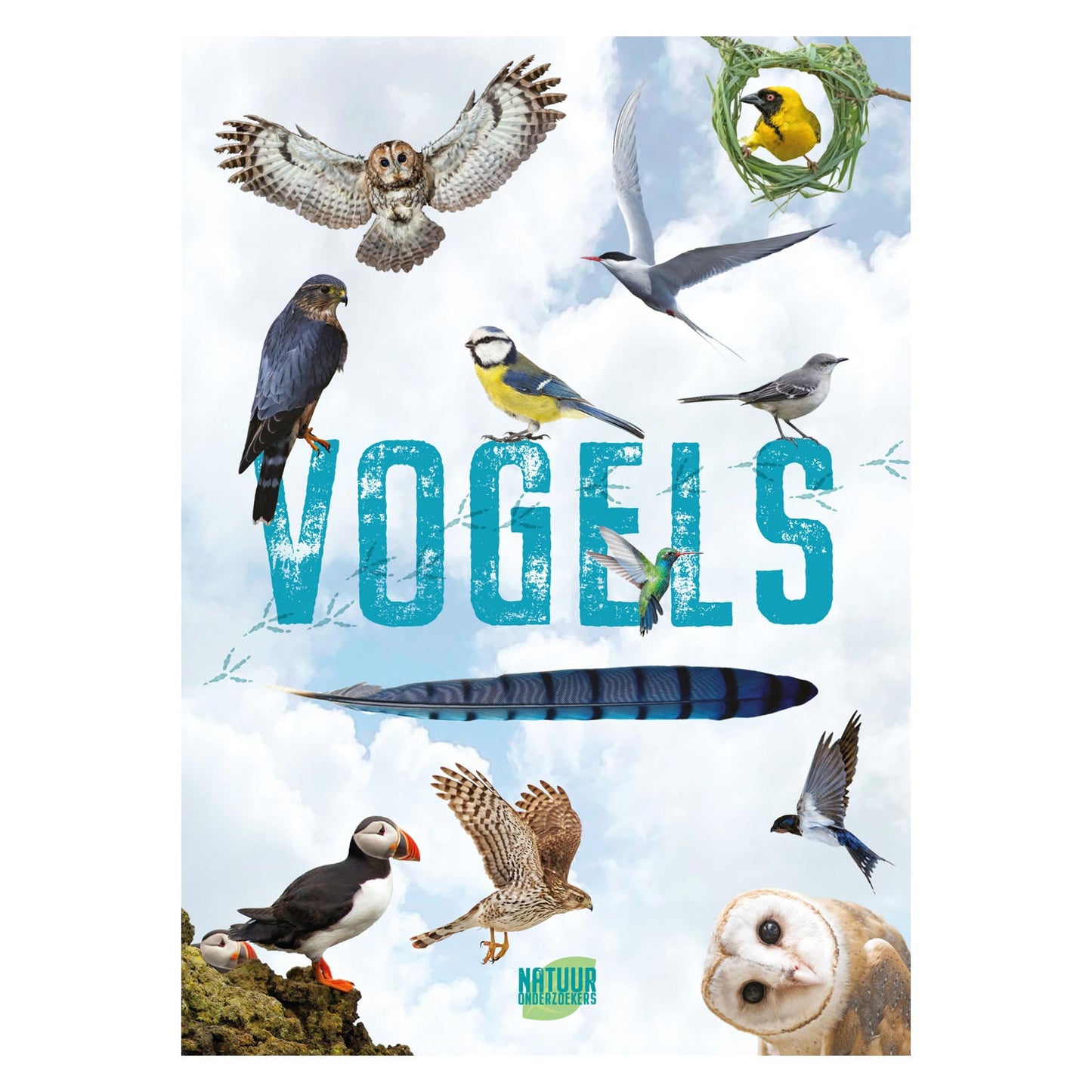 Rebo publishers vogels gids en natuurdagboek voor kinderen