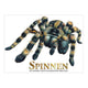 Rebo publishers boek over spinnen, angstaanjagende wezens