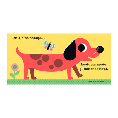 Gottmer uitgevers groep dit kleine hondje - voelboekje
