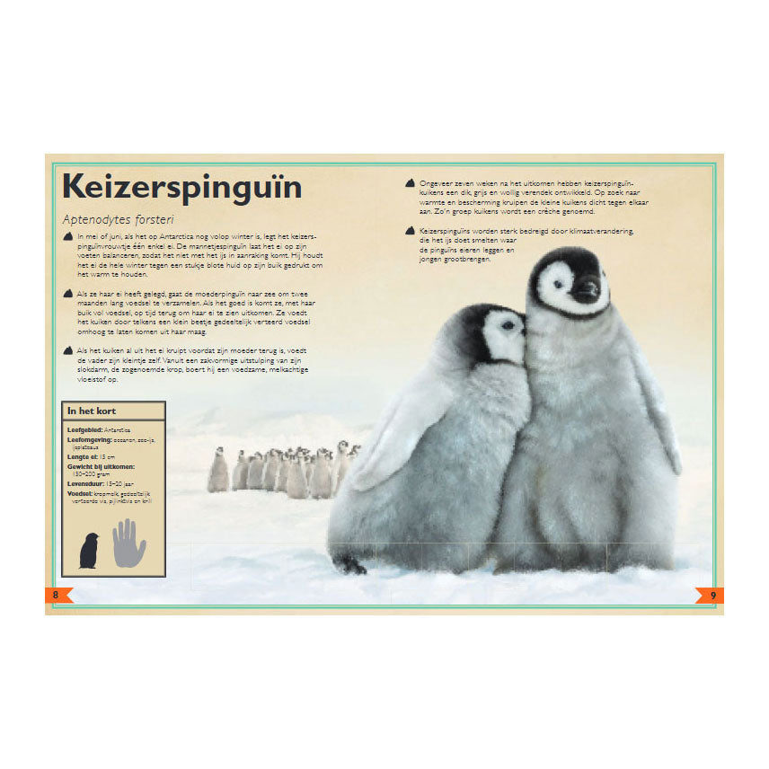 Gottmer uitgevers groep het allermooiste boek over babydieren
