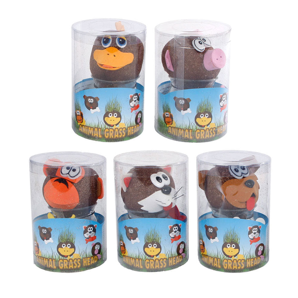 Grasvriendjes dieren verzorgen