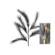 Hbx natural living pluimgras tak met verlichting led 72cm zwart