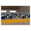 Kids globe koeien zwart wit staand 2stuks 1:32