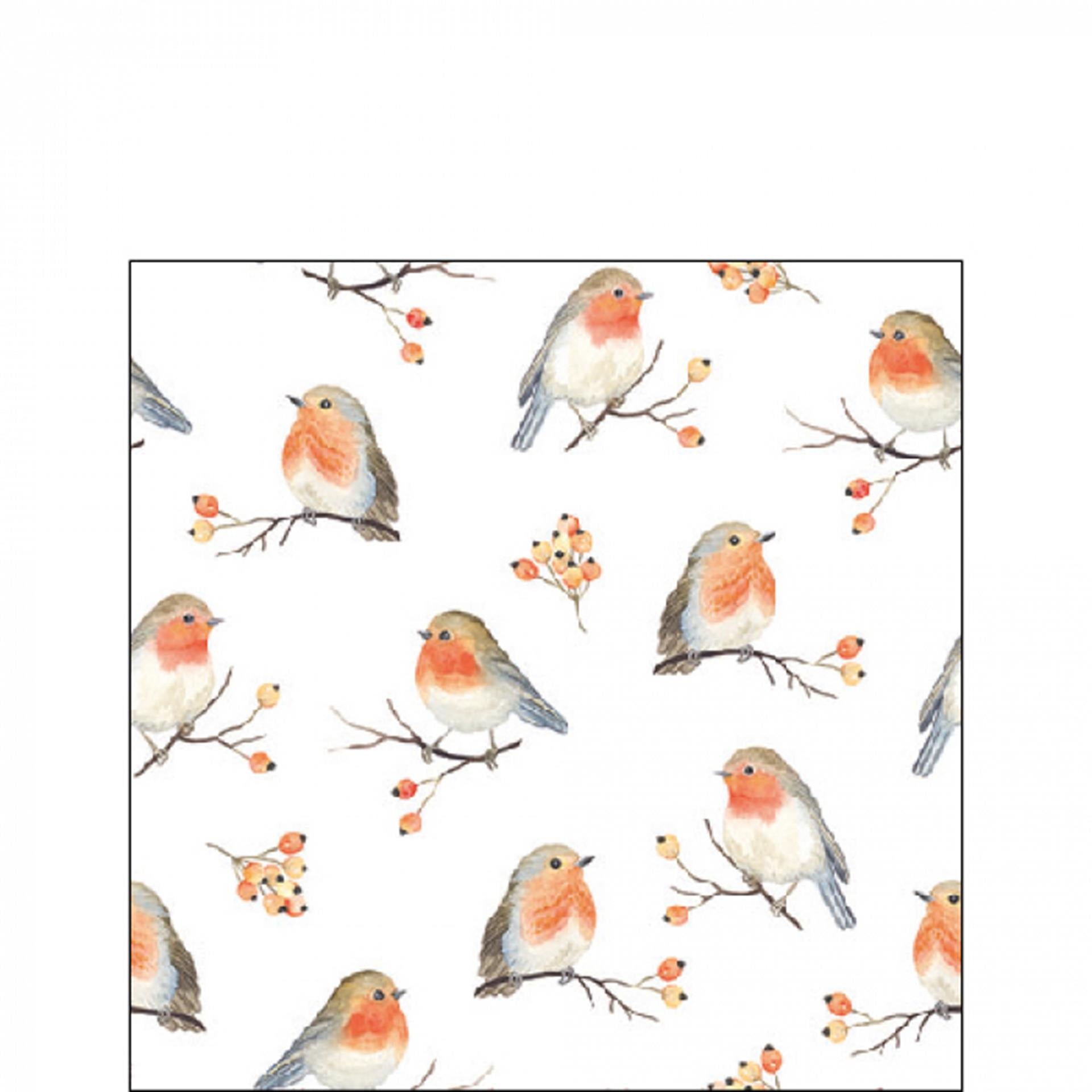Ambiente servetten robin family 25cm