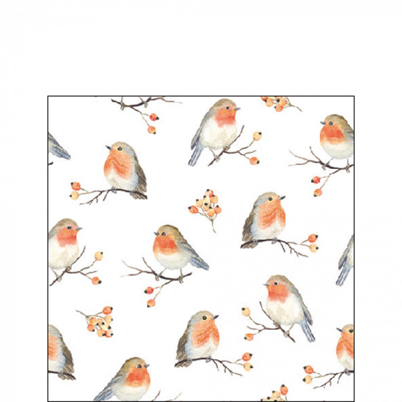 Ambiente servetten robin family 25cm