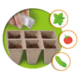 Ses creative - explore - broeikas met groenten - kweek je eigen tomaat, basilicum en komkommer - echt houten broeikas – experimenteerdozen – mini moestuin voor kinderen - afbeelding 4