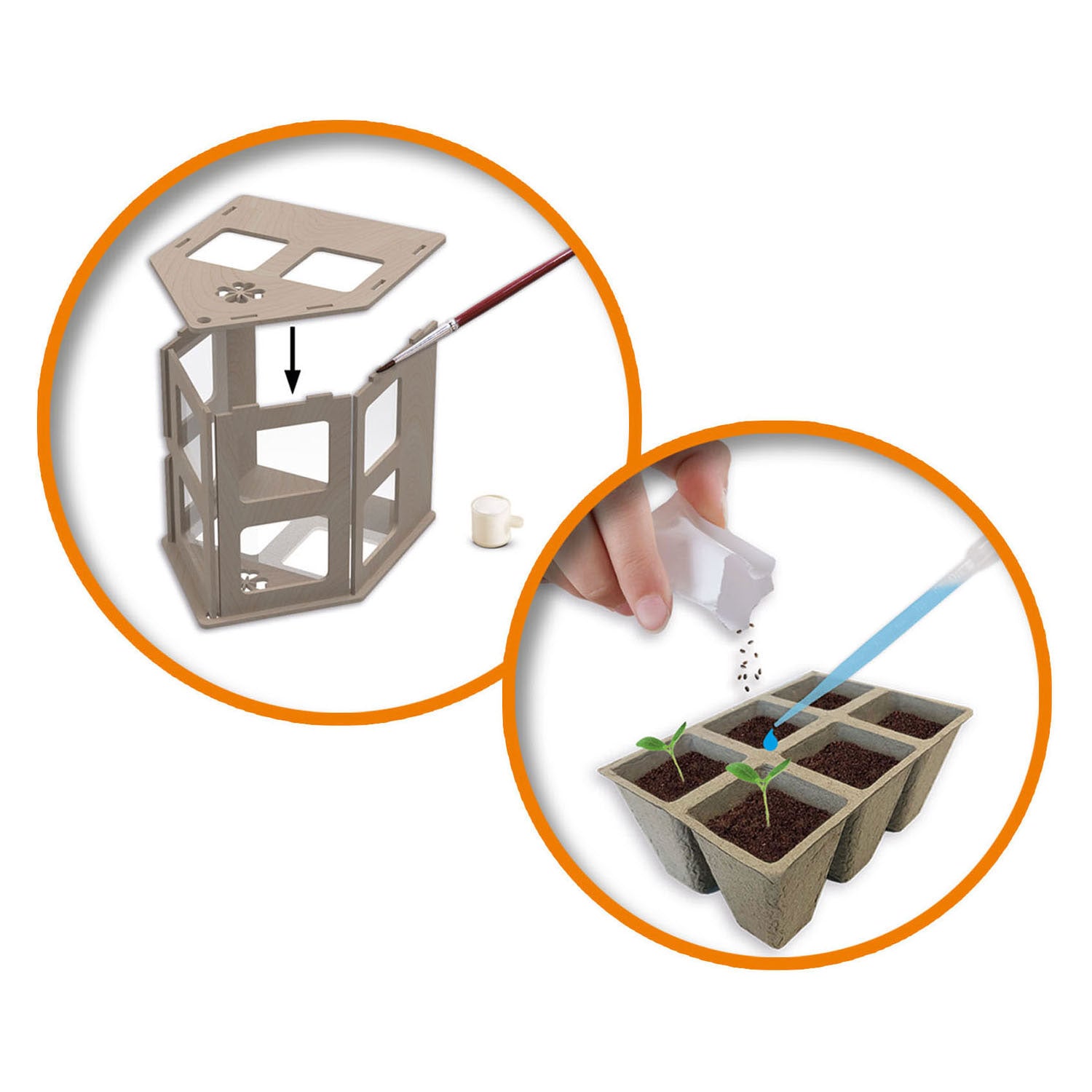 Ses creative - explore - broeikas met groenten - kweek je eigen tomaat, basilicum en komkommer - echt houten broeikas – experimenteerdozen – mini moestuin voor kinderen