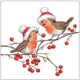 Ambiente servetten 33cm christmas robins white fsc mix