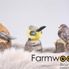 Farmwood animals tuinbeeld vogel met muziek 9x6x10 cm