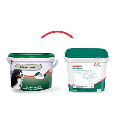 Primeval Gelatinaat hond