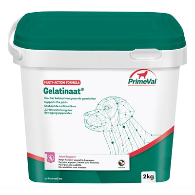 Primeval Gelatinaat hond
