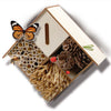 Ses creative ses insecten hotel knutselen