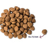 Renske Super premium adult kalkoen eend