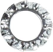 Fix-nippel fächerscheibe serrated washer fix-nip. m6 zinc
