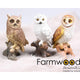 Farmwood animals tuinbeeld uil 19 cm
