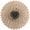 Edge cassette 10 speed cs-m6010 11-34t - zilver