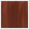 Bruynzeel ecola plakkaatverf fles 16ml brown 400