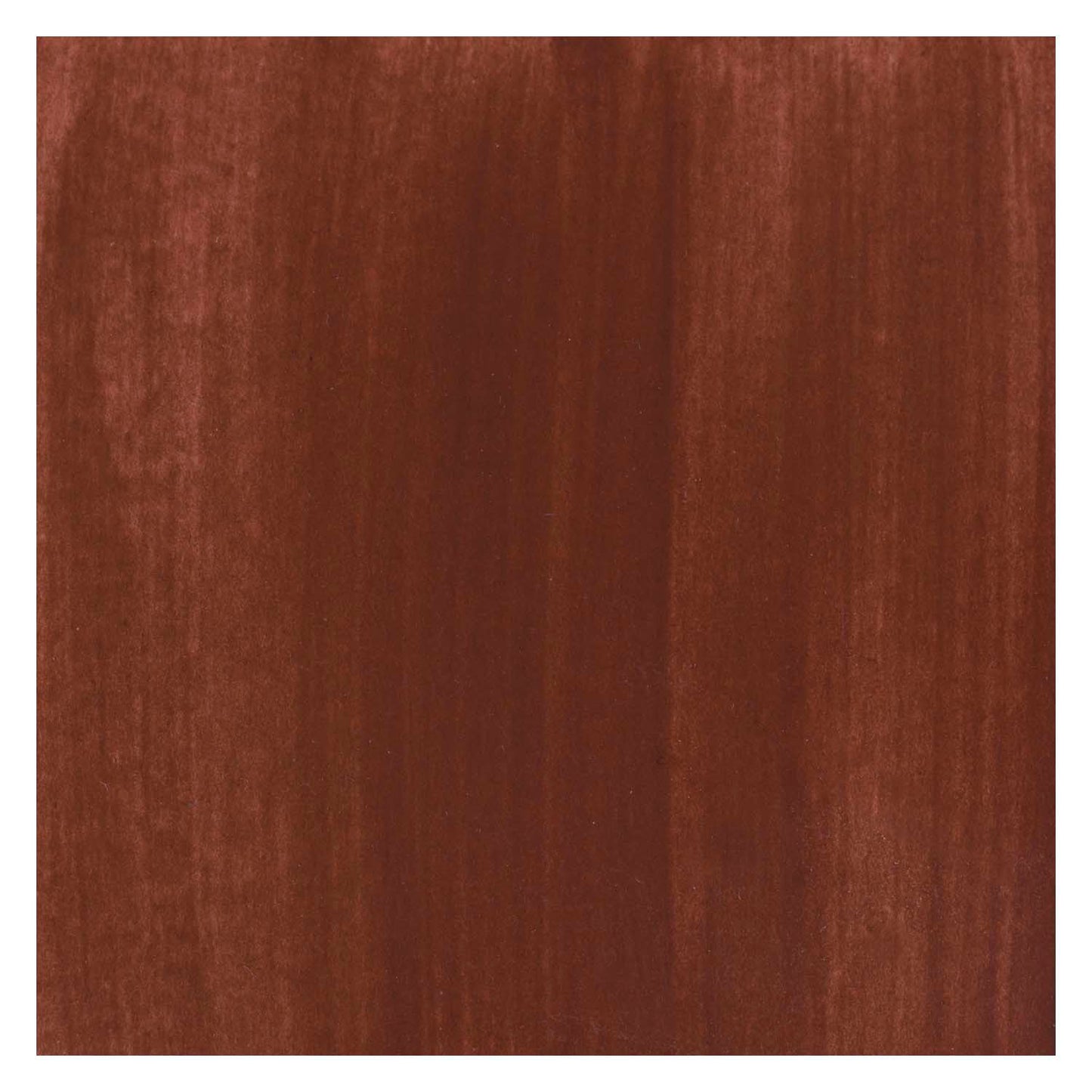 Bruynzeel ecola plakkaatverf fles 16ml brown 400