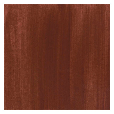 Bruynzeel ecola plakkaatverf fles 16ml brown 400