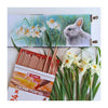 Talens art creation kleurpotloden set 24