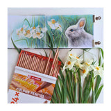 Talens art creation kleurpotloden set 24 - afbeelding 5